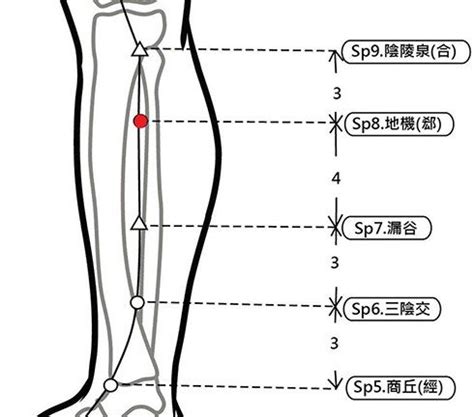 地經穴|穴位保健─地機穴（調血糖除經痛）